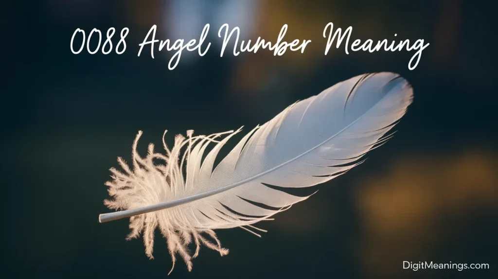 0088 Angel Number Meaning